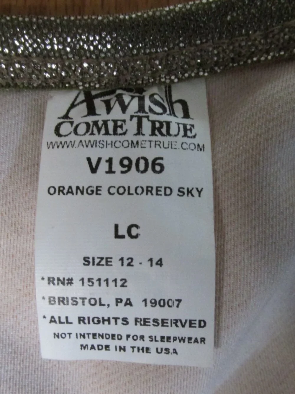 AWISH COME TRUE GIRL'S SIZE L LEOTARD V1906 ORANGE FALL AUTUMN DANCE COSTUME ACT